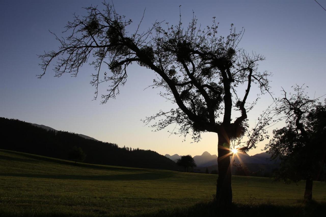 Ferienwohnung Pyhrgasblick Rosenau am Hengstpass Exteriér fotografie