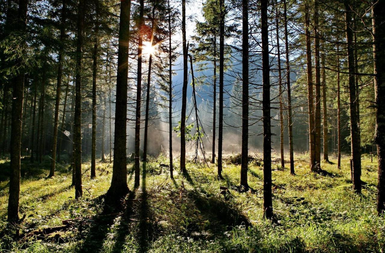 Ferienwohnung Pyhrgasblick Rosenau am Hengstpass Exteriér fotografie