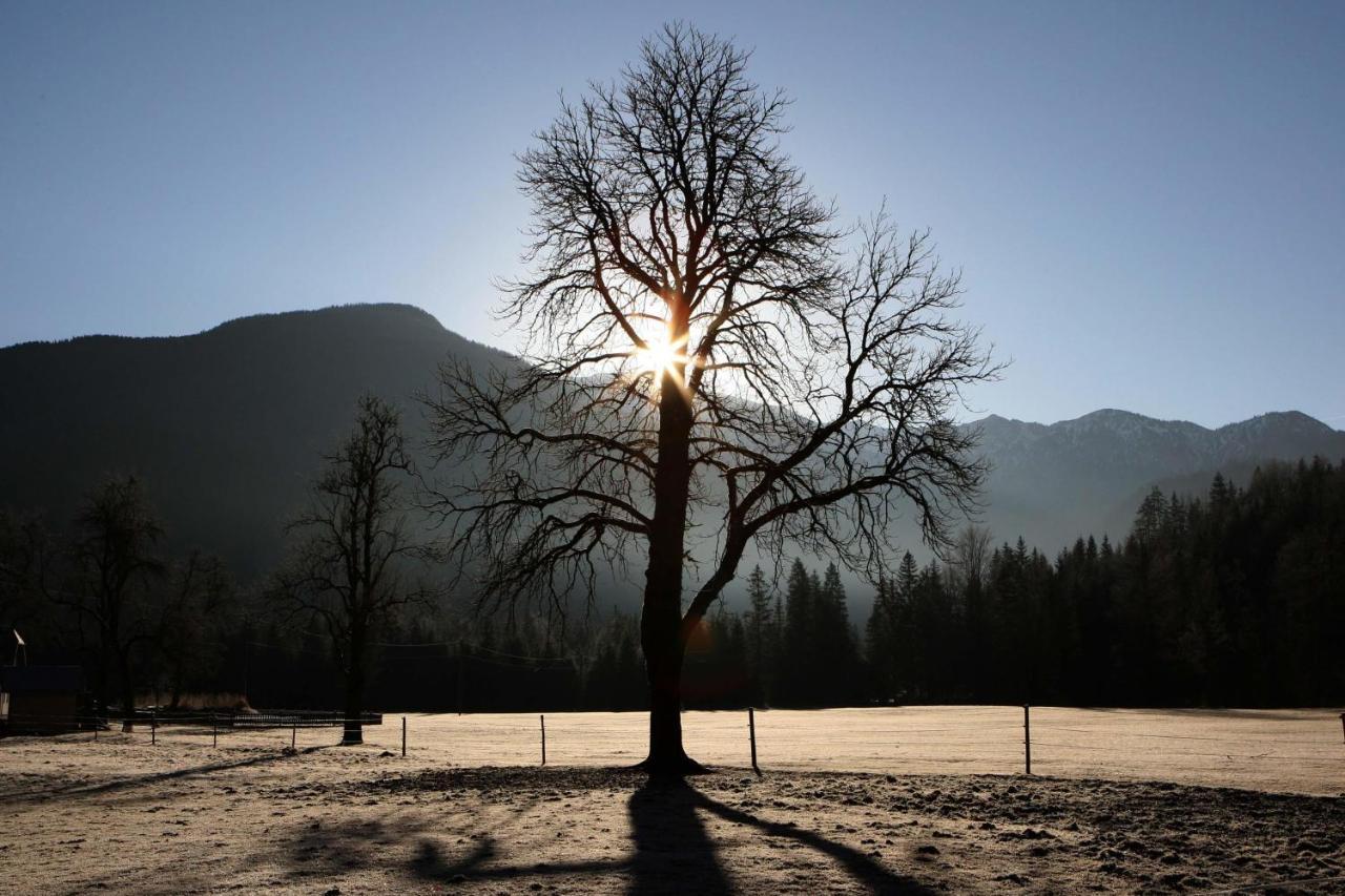 Ferienwohnung Pyhrgasblick Rosenau am Hengstpass Exteriér fotografie