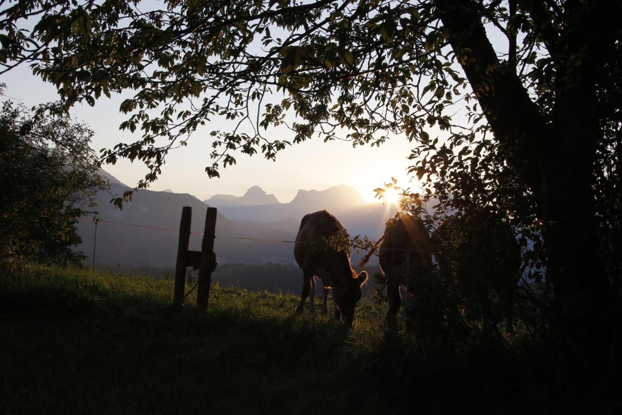 Ferienwohnung Pyhrgasblick Rosenau am Hengstpass Exteriér fotografie