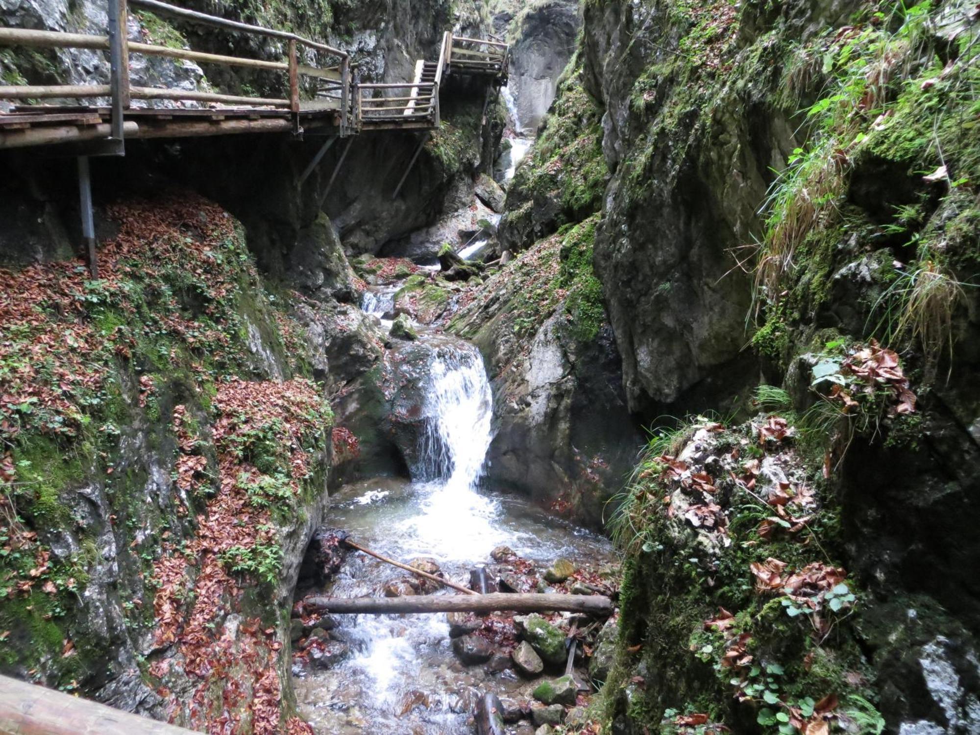 Ferienwohnung Pyhrgasblick Rosenau am Hengstpass Exteriér fotografie
